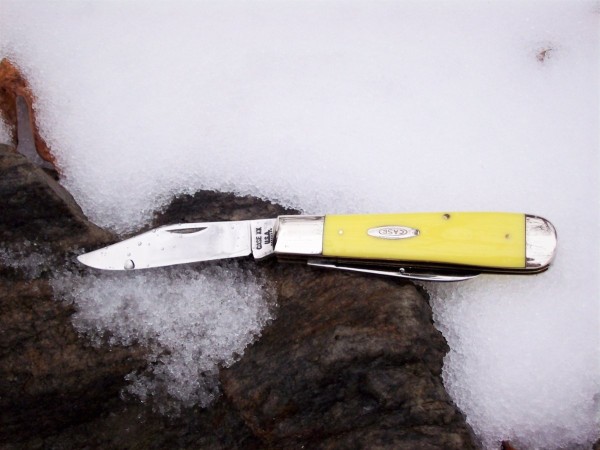 Rail Splitter in the snow.JPG