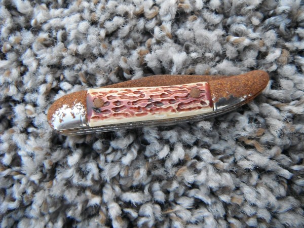 DSCF1080.JPG