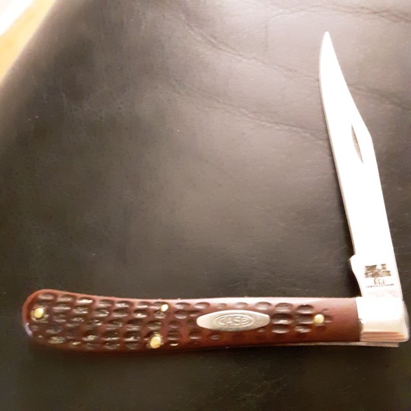 20230208_063322.jpg