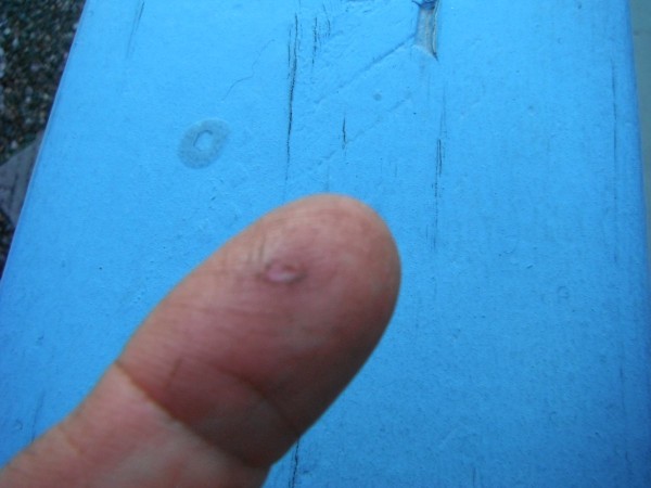 DSCF1153.JPG