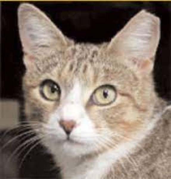 tippyy 2.jpg