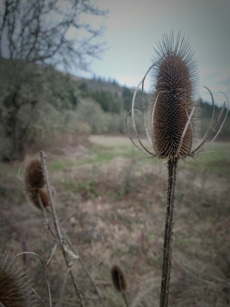 20230220_142950_copy_2080x2774.jpg