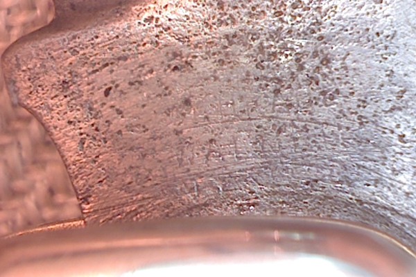 Photo on 2-24-23 at 1.21 PM.jpg