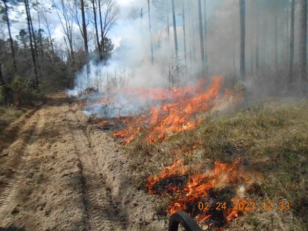 Fire line doing its' job.