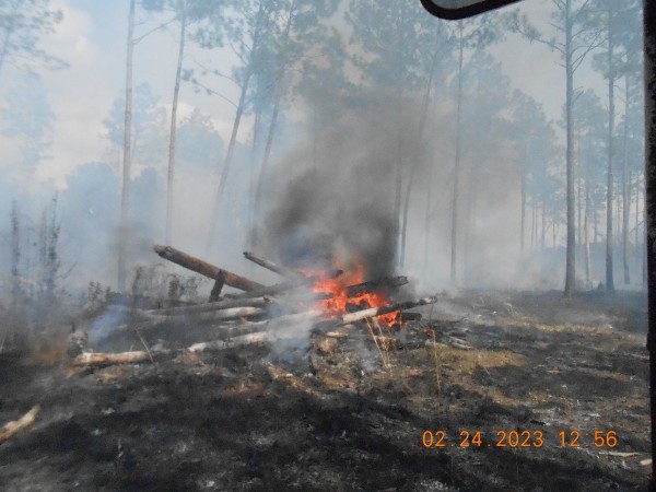 A pile of storm destroyed pines started to burn, didn't get it all but it's a start.
