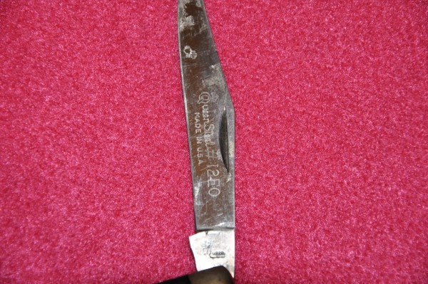 _DSC0033.JPG
