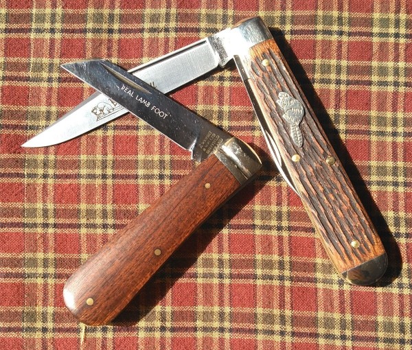 KIMG8117~3.JPG