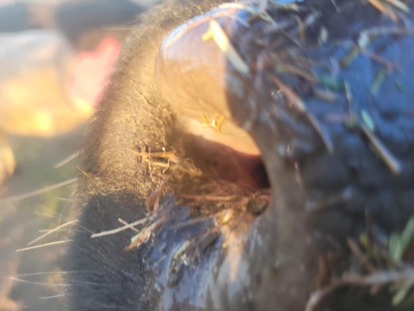 00F16657-D4C1-4F3F-ABCB-6712357F36B6.jpeg