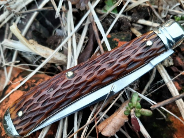 thumbnail_20230308_172721.jpg