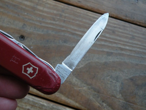 DSCN9333.JPG