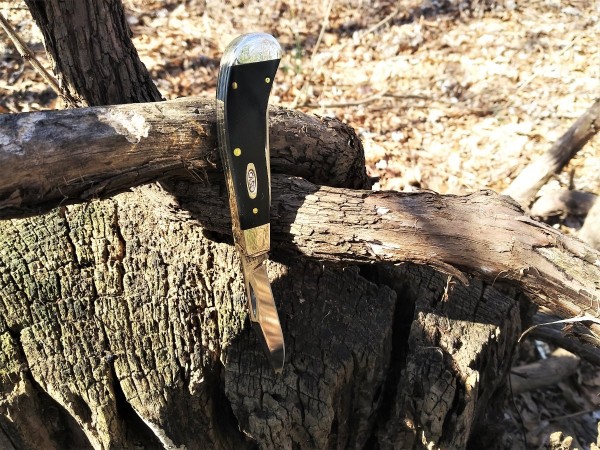 Case Saddlehorn on the trail.jpg