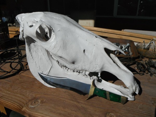 DSCF1578.JPG