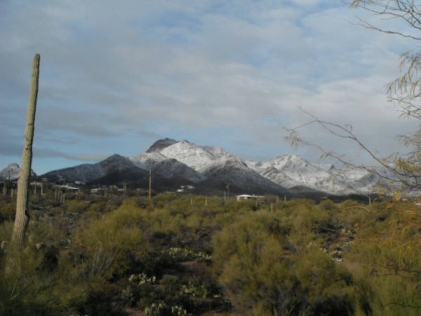 DSCF1392.JPG