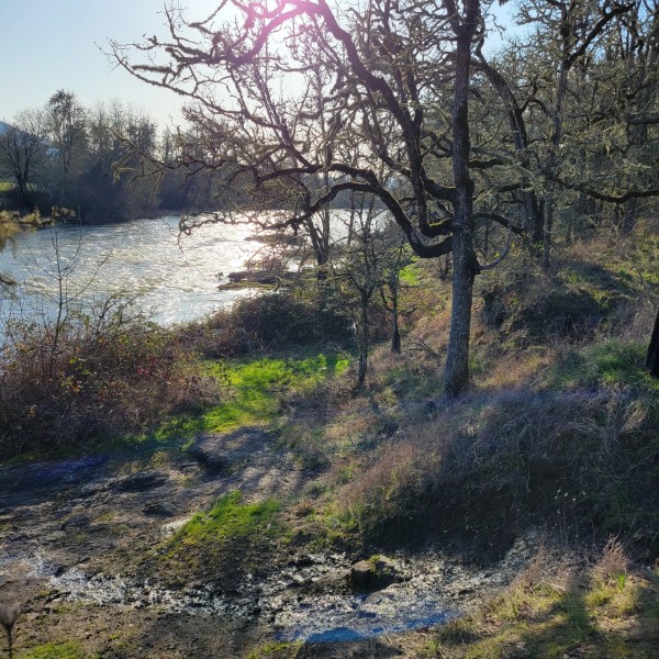 20230316_173725.jpg