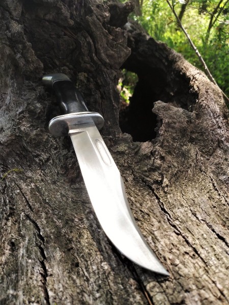 Buck 119 on the trail.jpg