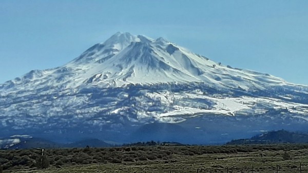 20230320_110909.jpg