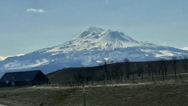 20230320_105804.jpg