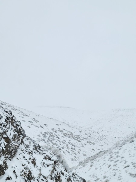 20230403_090716.jpg