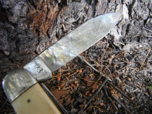 DSCF1754.JPG
