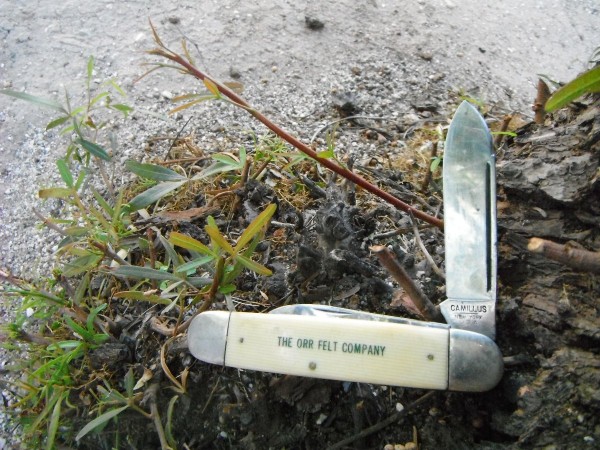 DSCF1755.JPG