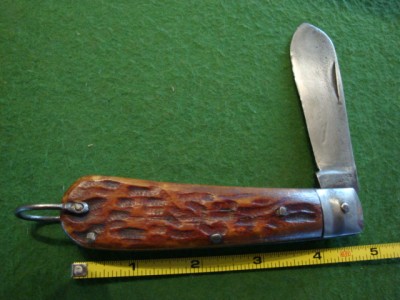 phila pruner.JPG