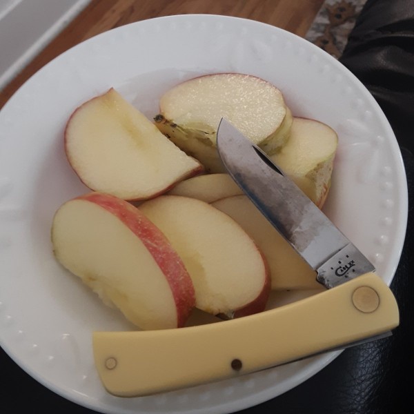 20230408_165440.jpg