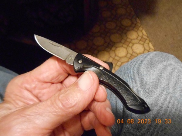 the little Buck Nano Bantam