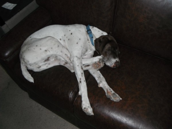 DSCF1273.JPG