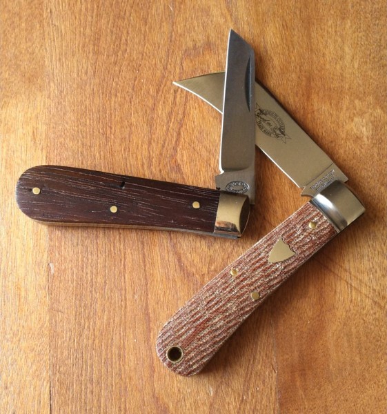 KIMG9447~2.JPG