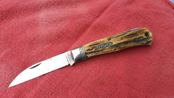 thumbnail_20230417_141703.jpg