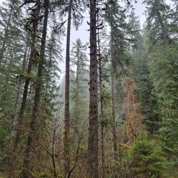 20230419_174005_copy_907x907.jpg