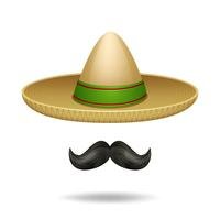 1504.i101.058.S.m005.c10.sombrero_and_mustache.jpg