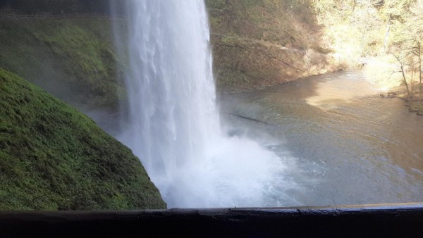 thumbnail_20230414_111648.jpg
