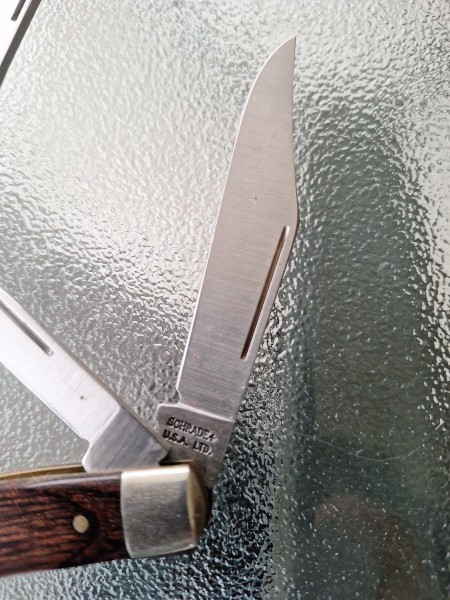 20230429_082927.jpg