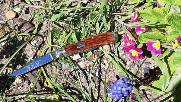 thumbnail_20230429_111557.jpg