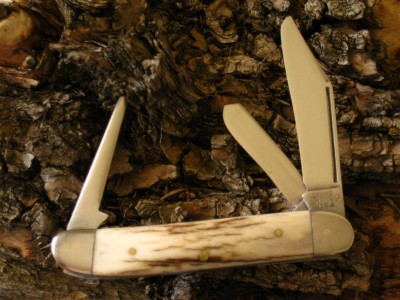 vic. zebra 010 (Large).jpg