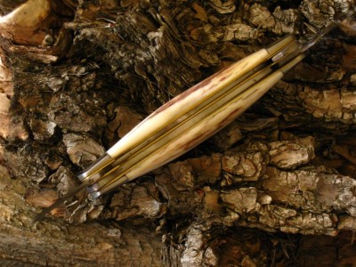vic. zebra 013 (Large).jpg