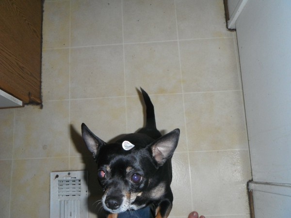 DSCF2290.JPG