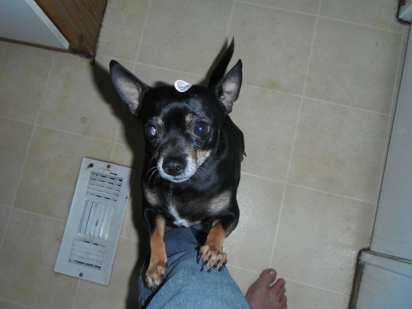 DSCF2291.JPG
