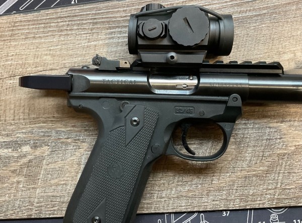 IMG_3342.jpeg