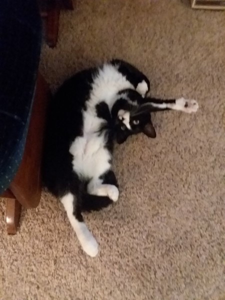20220612_203308.jpg
