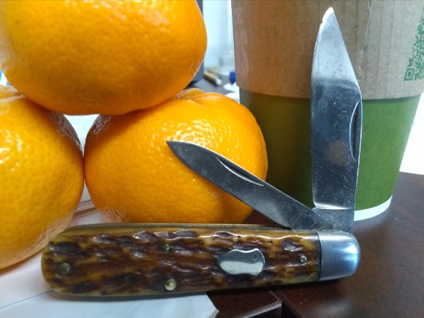 IMG_20230522_083727597.jpg