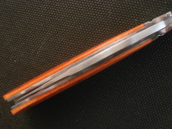 P5250021.JPG