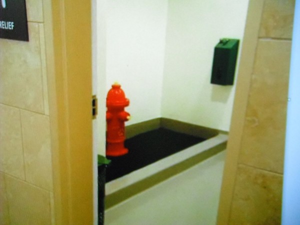 DSCF2690.JPG