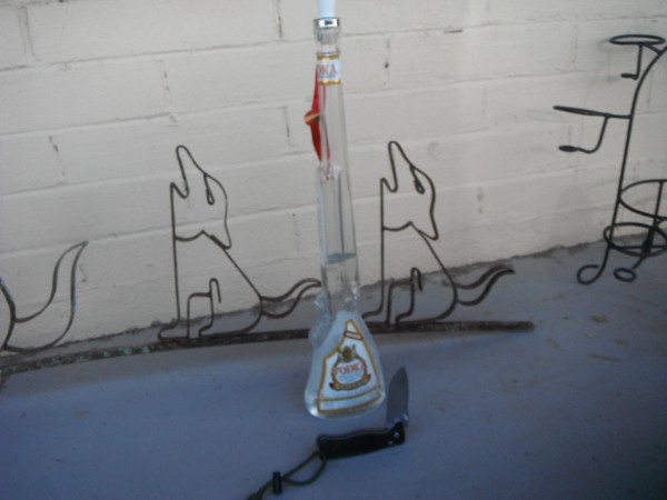 DSCF2729.JPG