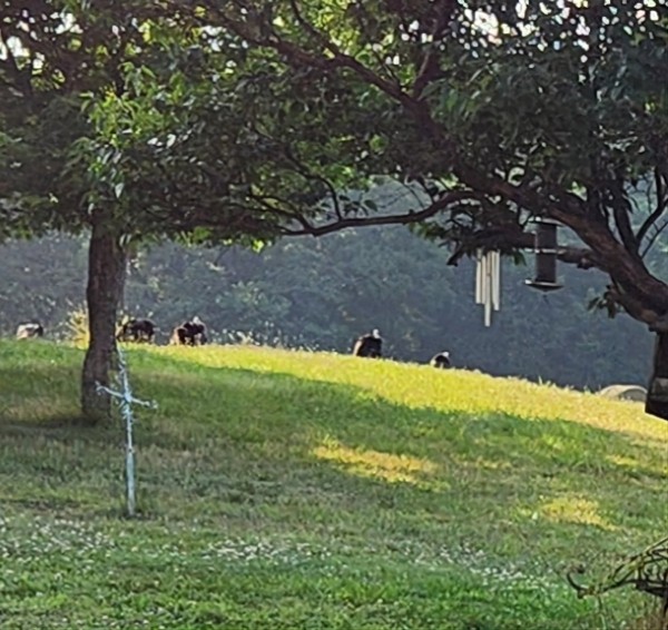 20230615_072525.jpg