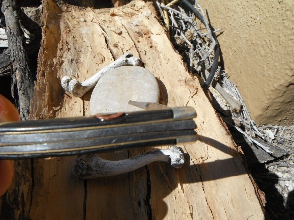 DSCF2736.JPG