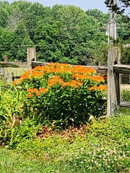 20230610_104129.jpg