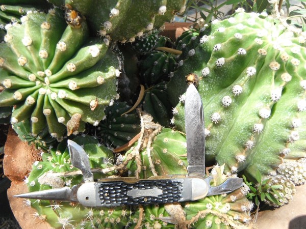DSCF2504.JPG