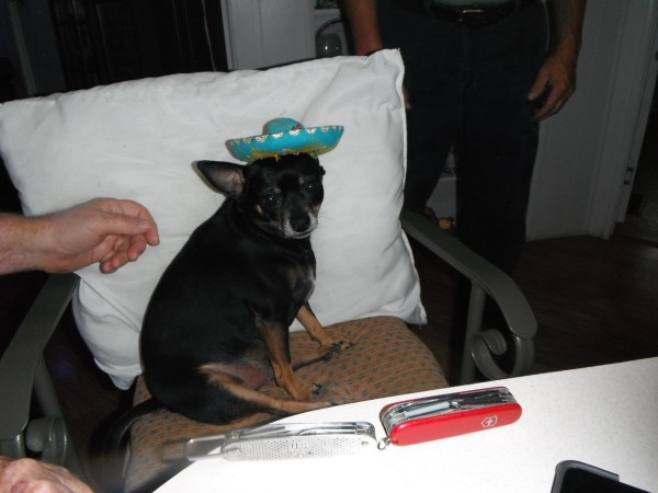 DSCF2862.JPG